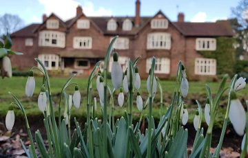 Snow droplets at Abbeywood Estate